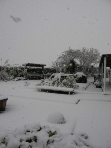 18th Dec Snowing It's snowing!