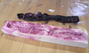 Plaster and Latex Squid Plaster and Latex Squid
