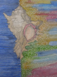 Shell Sketchbook Painting