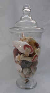 Shell Vase