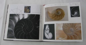 shell sketchbook