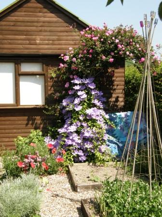 Clematis Arch