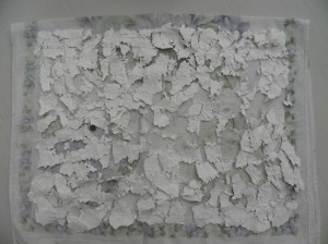 Dissolved Paper and Stitch Dissolved Paper and Stitch