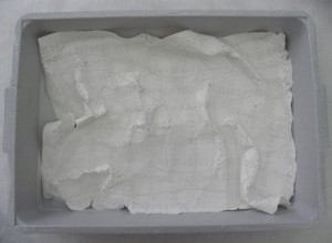Paper Processing for Embellishing Paper Processing for Embellishing