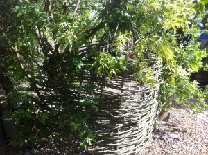 Back of Willow Seating Area