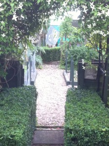 Clematis Arches and Box Hedging