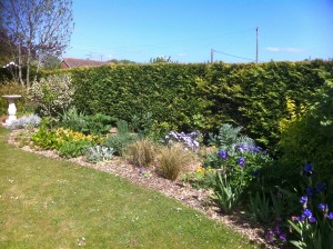 Front Garden Border