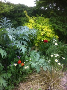 Quilters Cottage Garden Border