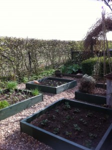 Raised Beds