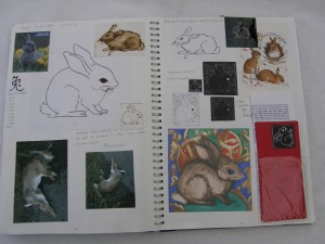 Roadkill sketchbook