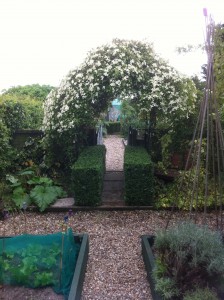 Secret Garden Clematis Arch