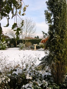 Winter Garden