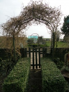 Clematis Arches