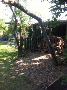 Tree House to Log Store