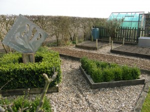 Box Garden 