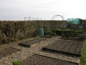 Raised Vegetable Garden Beds