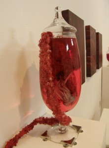 Squid Jar Exhibit